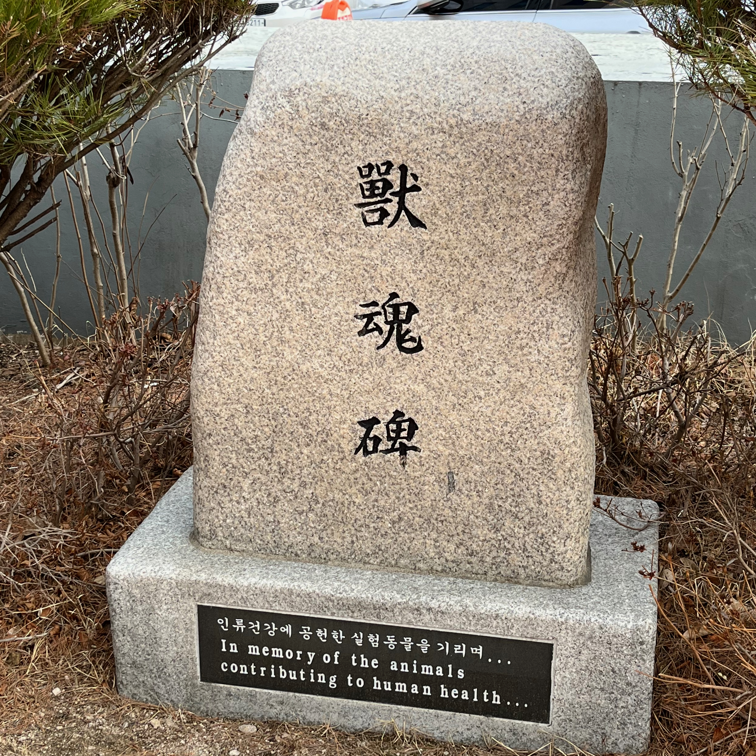 사본 -4.jpg